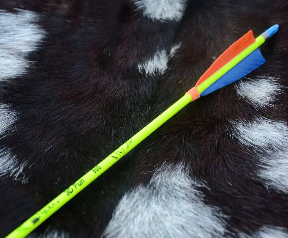 Carbonpfeil Neongelb Protector 1 Stück – Bild 3