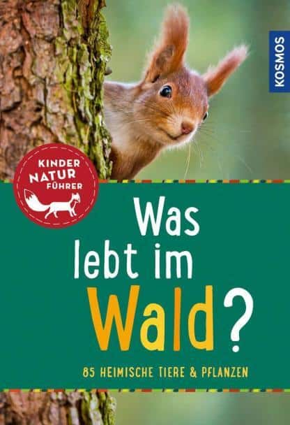 was lebt im wald kindernaturführer kinderbuch