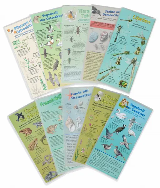 Box Tiere und Pflanzen bestimmen - OSTSEE EDITION – Bild 2