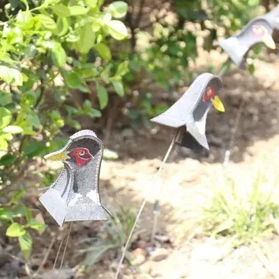 Taubenkopf Zwillenziel – Bild 2