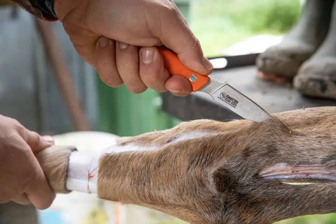 CASSTRÖM Swedish Field Dresser Birch – Bild 5