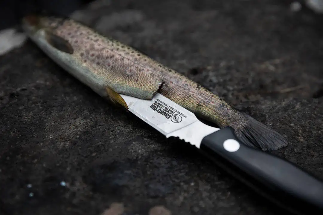 CASSTRÖM Swedish Field Dresser Birch – Bild 6