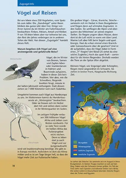 Vogelzug und Zugvögel Mitmachheft – Bild 3
