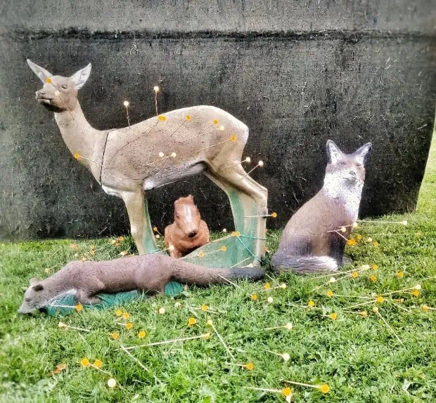 blasrohrpfeile big bore 625 3d targets