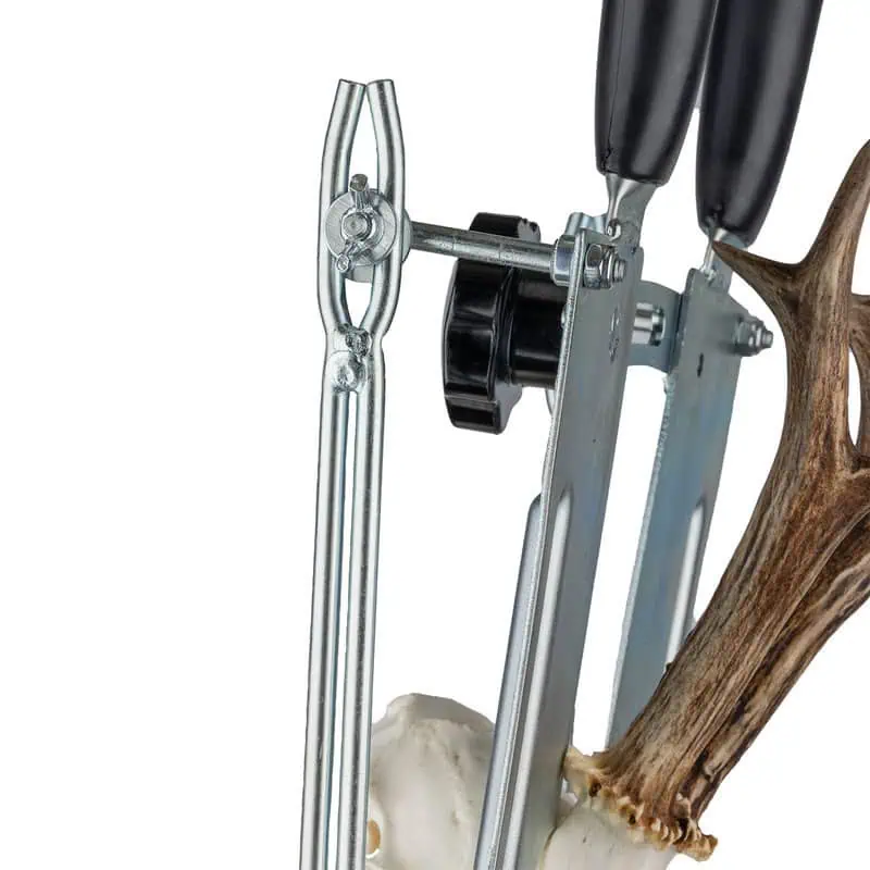 Gehörnabschlagsvorrichtung mit Feinsäge – Bild 6