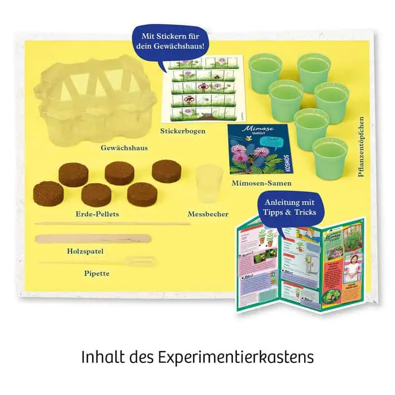 KOSMOS Mimosen-Garten – Bild 3