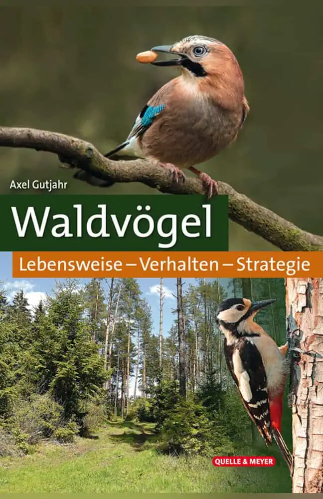 waldvögel vogelbuch