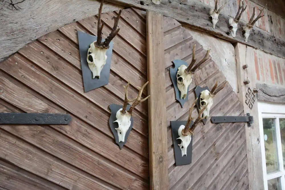 Trophäenschild Rehbock Stahl 6mm geölt – Bild 13