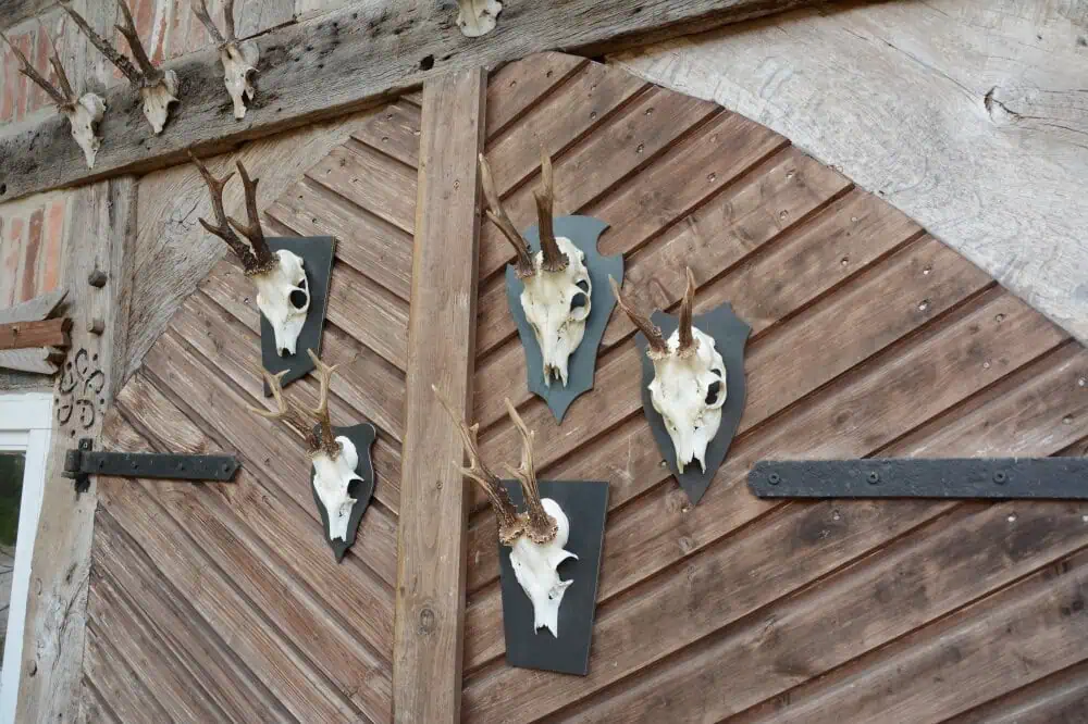 Trophäenschild Rehbock Stahl 6mm geölt – Bild 14