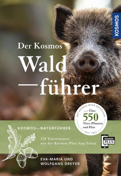 kosmos waldführer titelseite