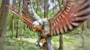 3D Target Adler Bogenparcours
